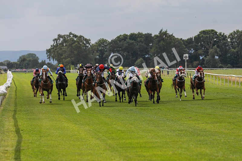 240624-Race 3-Eternal Sunshine-0171 - Race 3