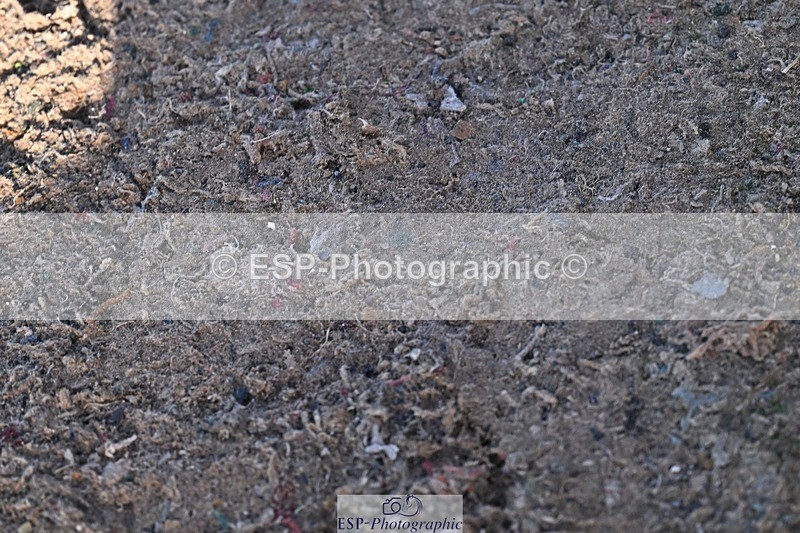 251203-125124-00547 - Cls 4 Newcomers and 1.10m Open