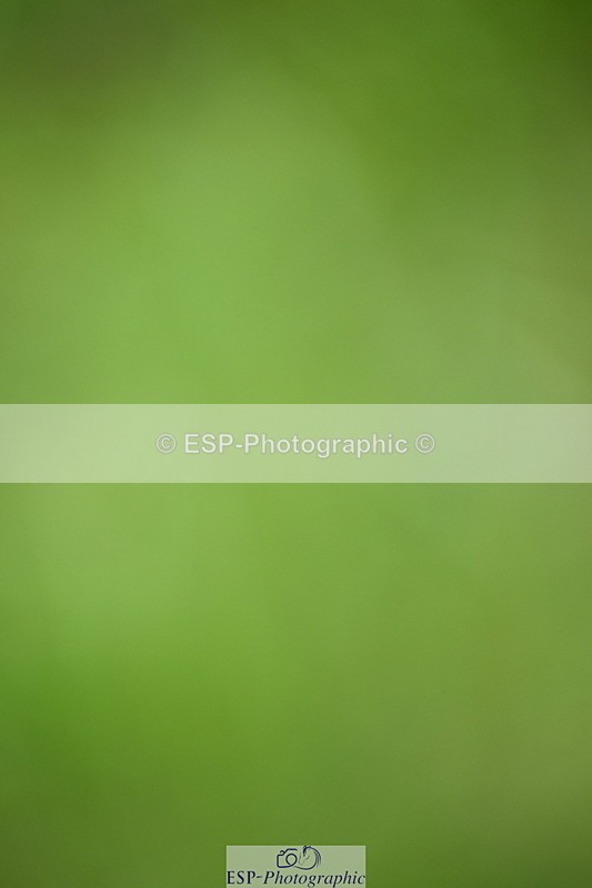 250831A-105502-09773 - Cls 35 Snr 1.20m Grand Prix