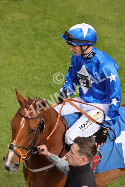 yr13052022r6-1 - Race 6 4.45pm Yorkshire Equine Practice Stakes