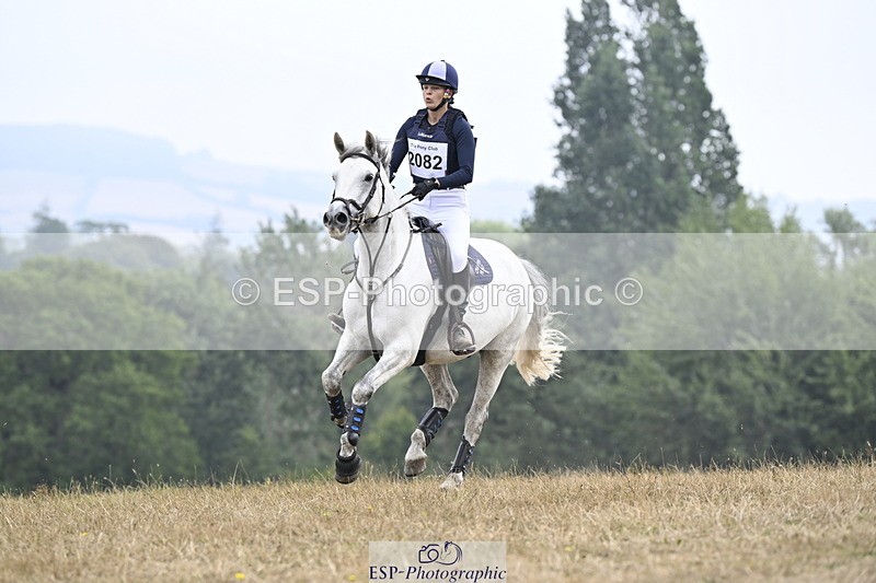 250824A-122013-36324 - 2082-Lisa.Plumb-Ringo