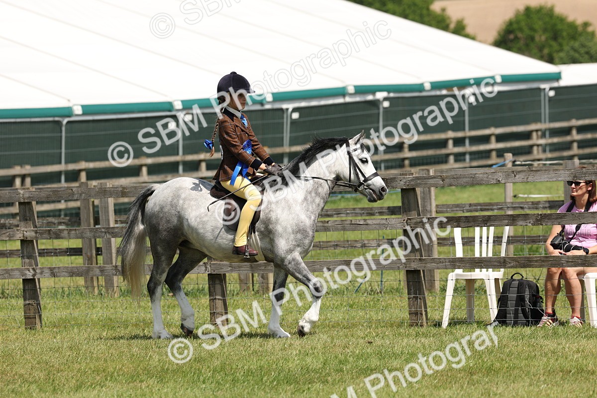 SBM_05389 - Class 24-25 - Mountain & Moorland In Hand Lead Rein and First Ridden