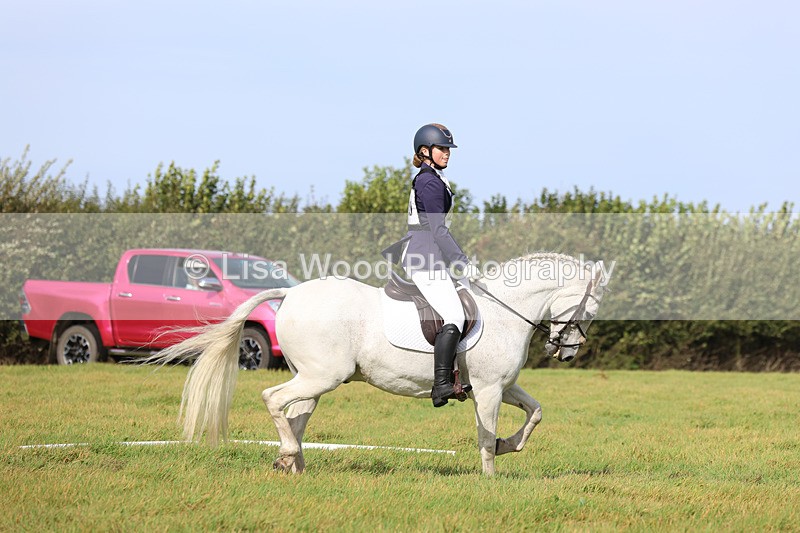 3E7A6260 - Class 1: Trebudannon Open: Dressage (Part 2)