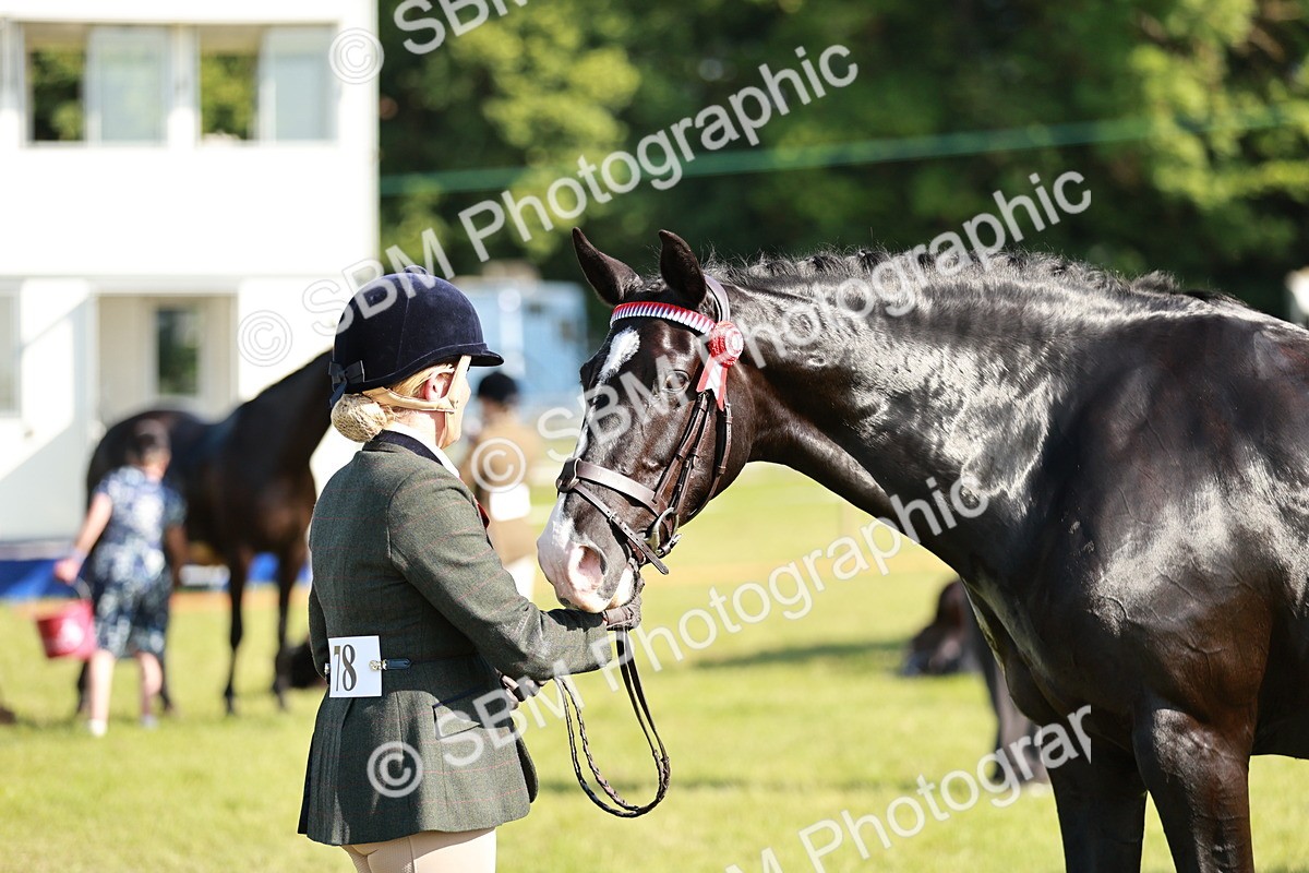 SBM_19270 - Class 115-116 - LIHS BSHA Rising Star Working Hunter & Show Horse
