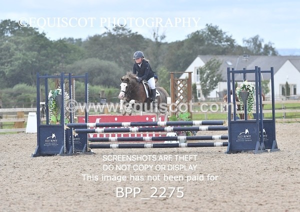 BPP_2275 - DERBY CLASS 6 - 70CM