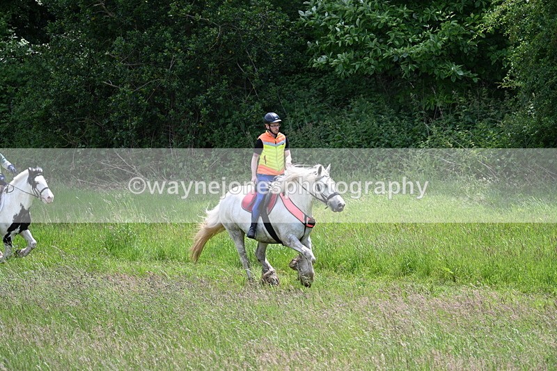 WJ7_8767 - Group 4 11am