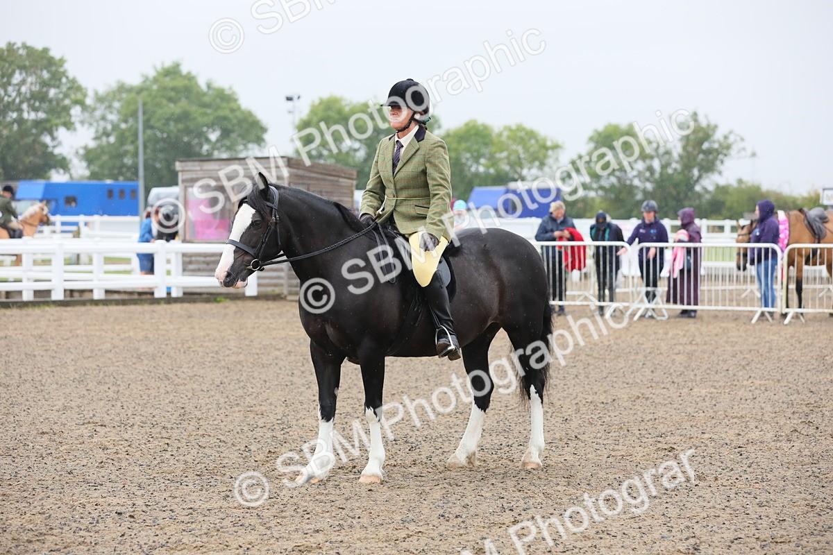 SBM_20076 - Class 802 - Ridden Groom - Helpers class