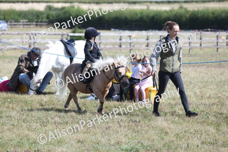 20250831-2600 - Class 17 - Lead Rein Pony