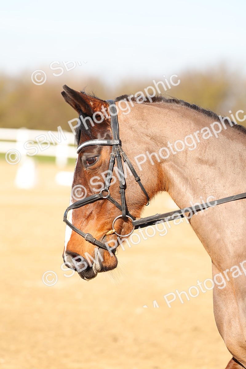 SBM_002690 - Class 2 - P1-70cm