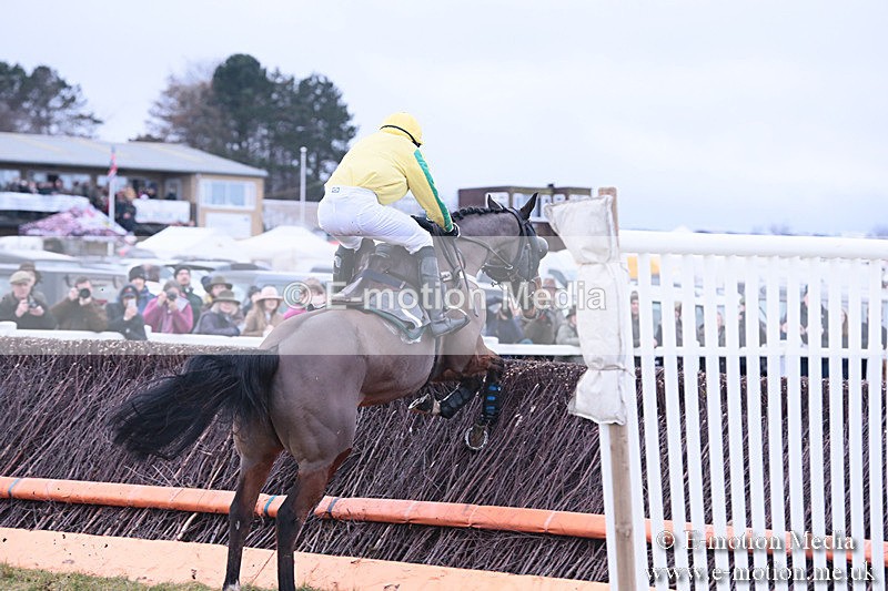 PtP 230119 96 - Royal Artillery Point-to-Point  - Larkhill  - 26/01/19