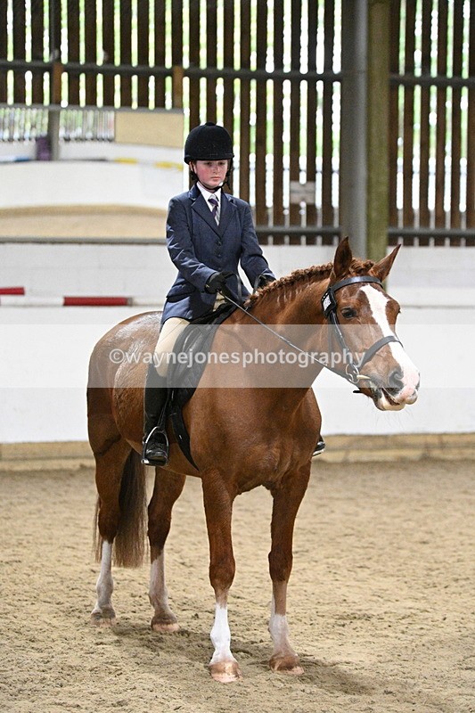 WJ7_3914 - Class 17 Ridden Cob