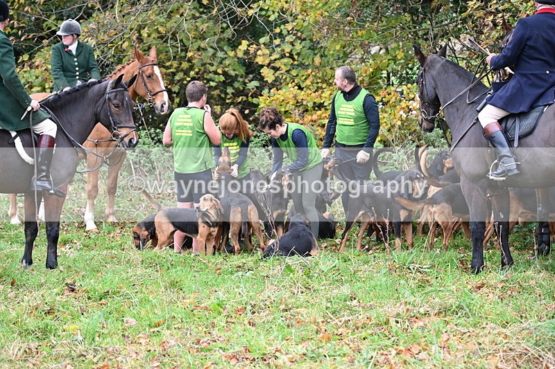 WJ6_8578 - Meet