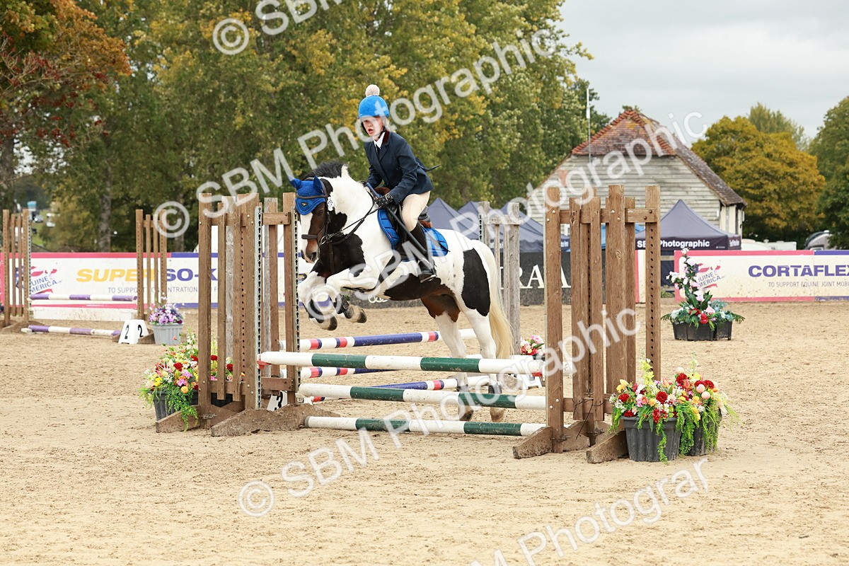 SBM_69082 - J13 - Junior Pony 60cm Championship