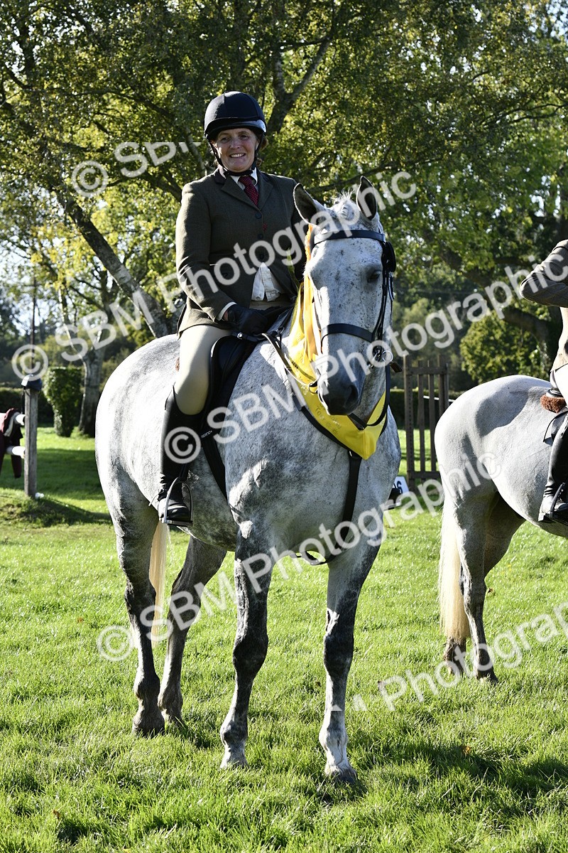 SBM_52254 - S35 - Working Hunter & Working Show Horse