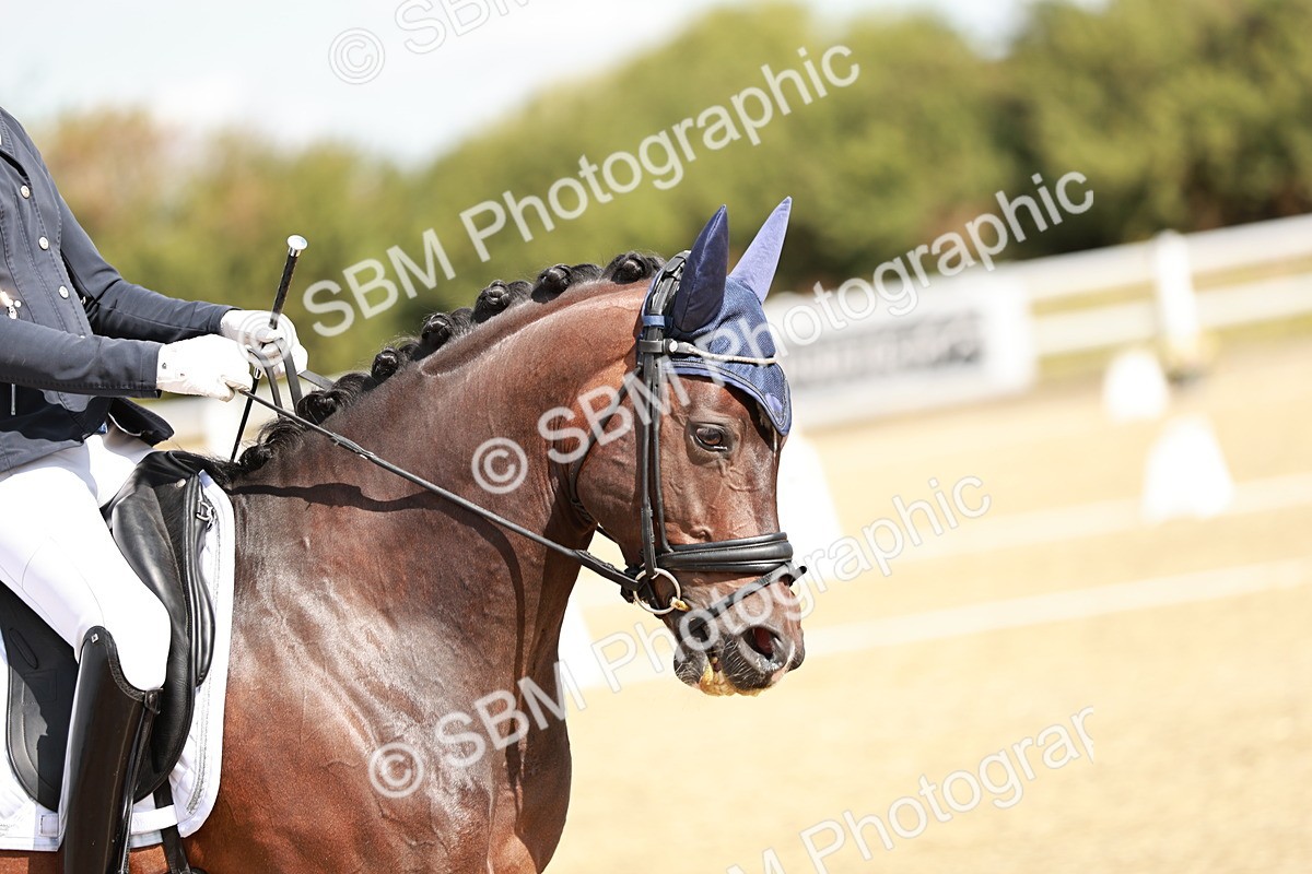 SBM_009377 - Class 11 - AM6
