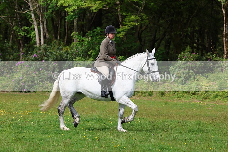 3E7A2636 - Working Hunter Championship