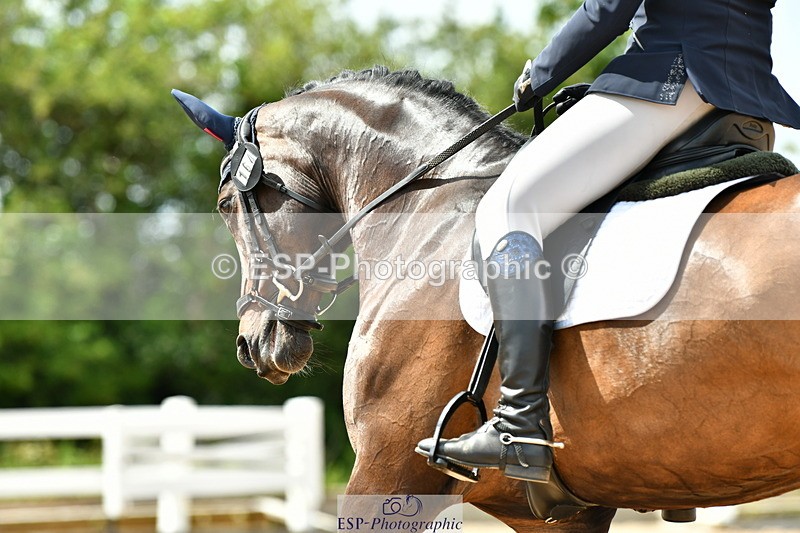 230702A-152538-10913 - Cls 34 Adv Medium 91