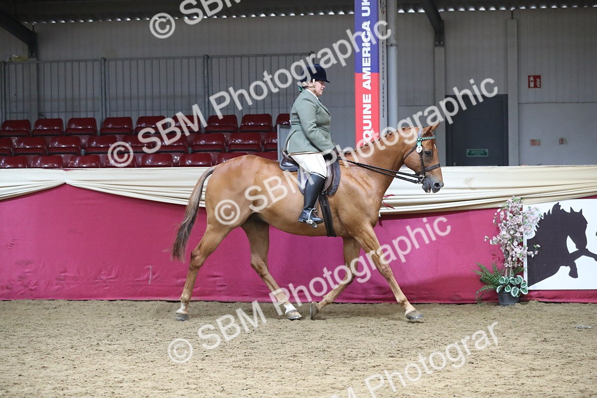 SBM_12299 - Class 108 Ridden Retired Racehorse- Pre Judging