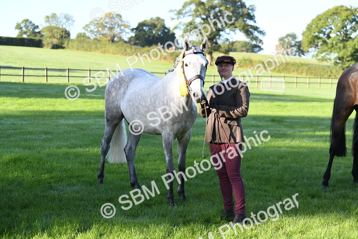 SBM_32839 - S15 - Condition & Turnout In Hand