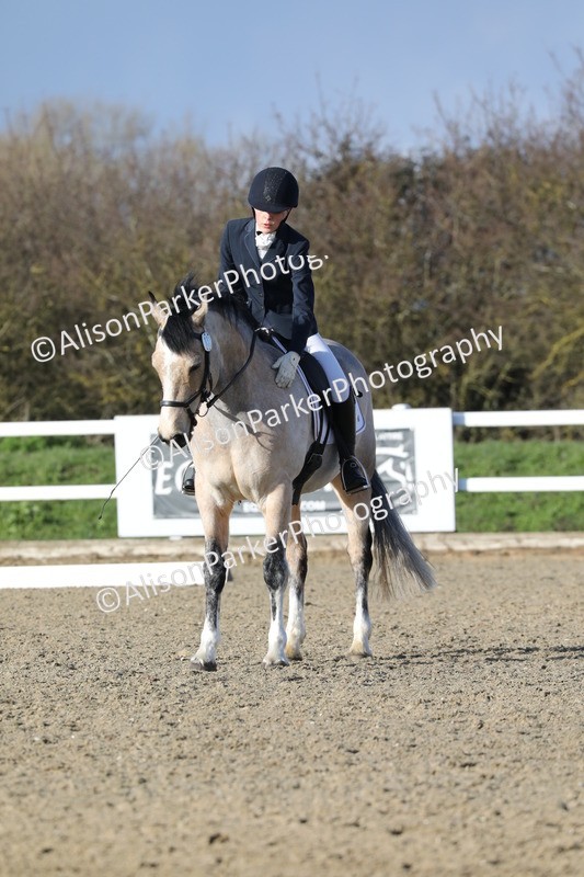 20260314-5850 - DR 7 - Elementary 1