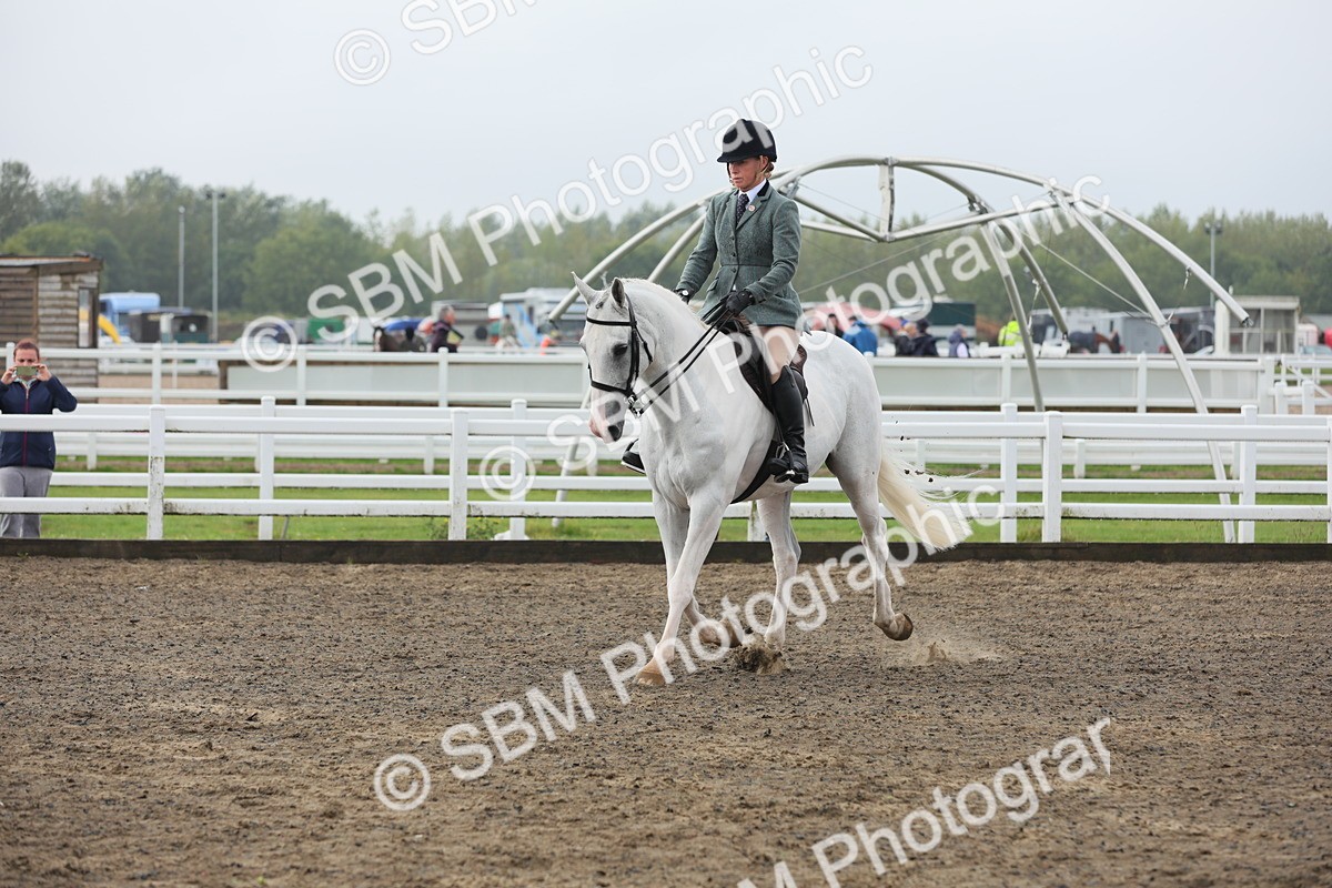 SBM_21271 - Class 805 - Ridden Veteran Horse