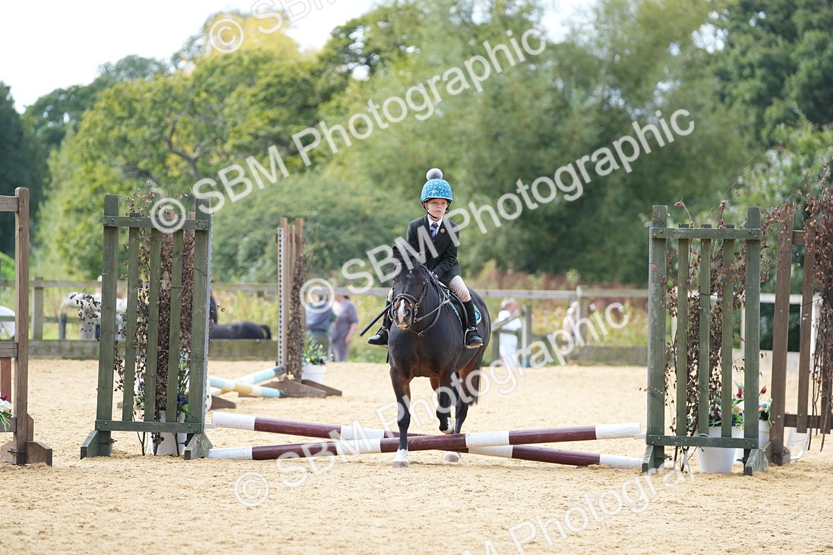 SBM_64568 - J2 - Mini Tour Junior Pony 30cm Championship