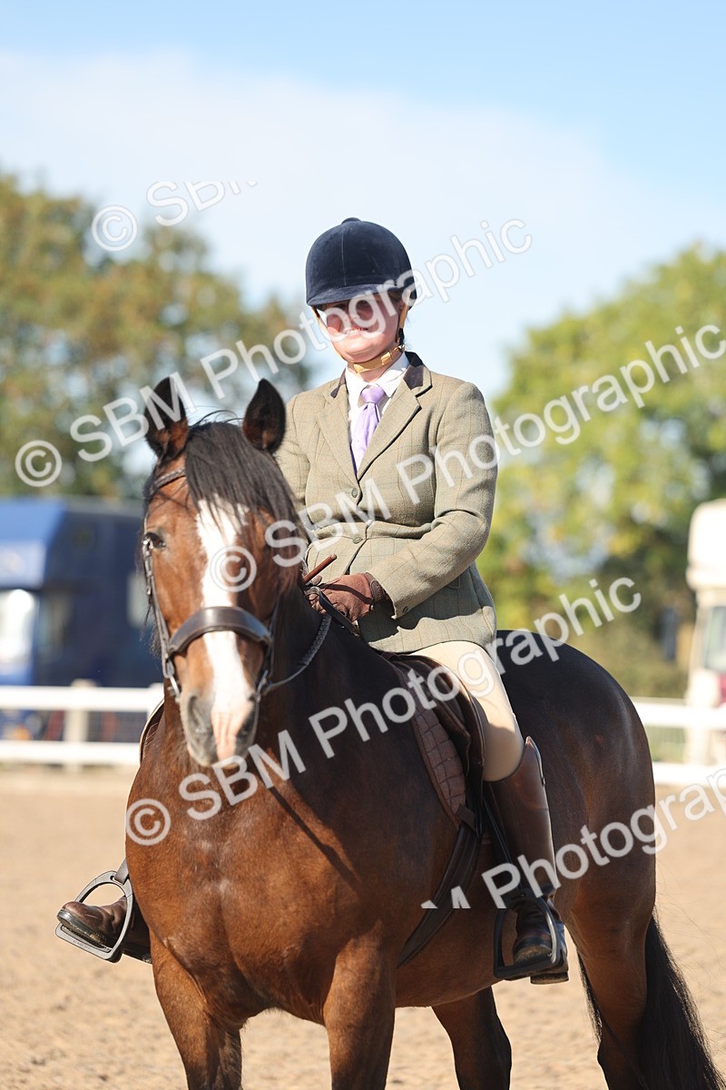 SBM_12384 - Class 304 - Ridden part Bred Horse Pony