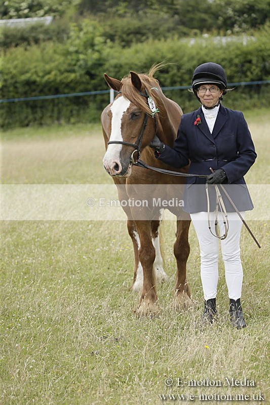 B230619-0580 - Bourne Valley Riding Club Summer Show 23/06/19
