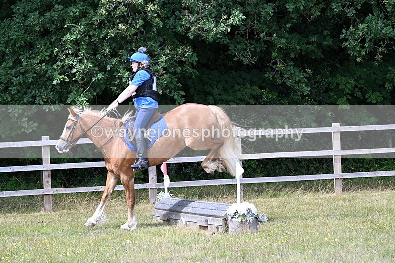 WJ7_0620 - 40cm Time 12:10 to 12:20