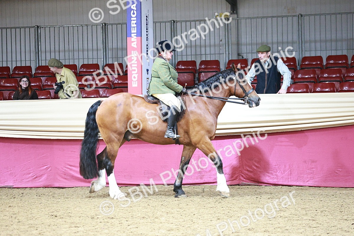 SBM_03113 - Class 5A - Area Ridden Veteran