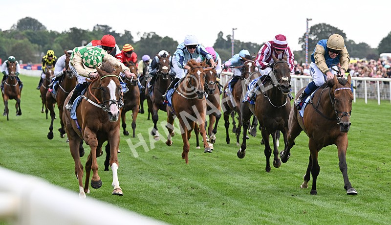 220826-142 Daiquiri Bay - Race 4 15.35pm Sky Bet Ebor Handicap