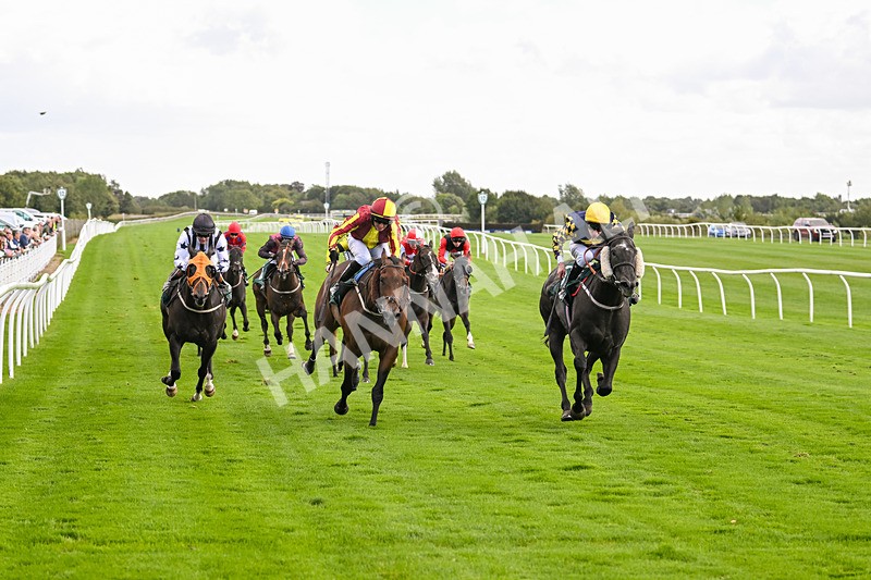 100924-Race 2-Keldeo-0017 - Race 2