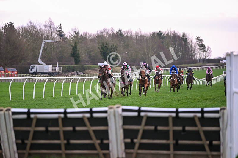 171224-Race 2-Bust A Move-3064 - Race 2