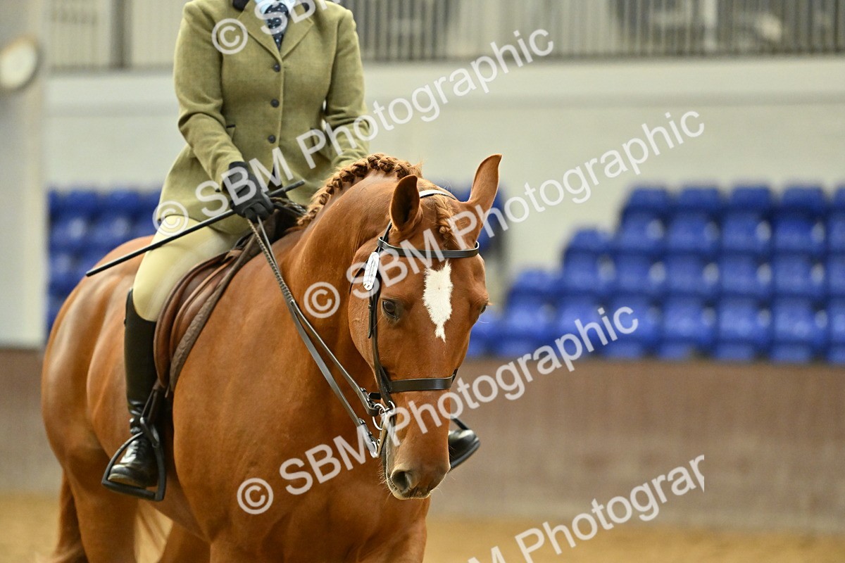 SBM_002087 - Class 23 - BSHA Ridden Show Hunter
