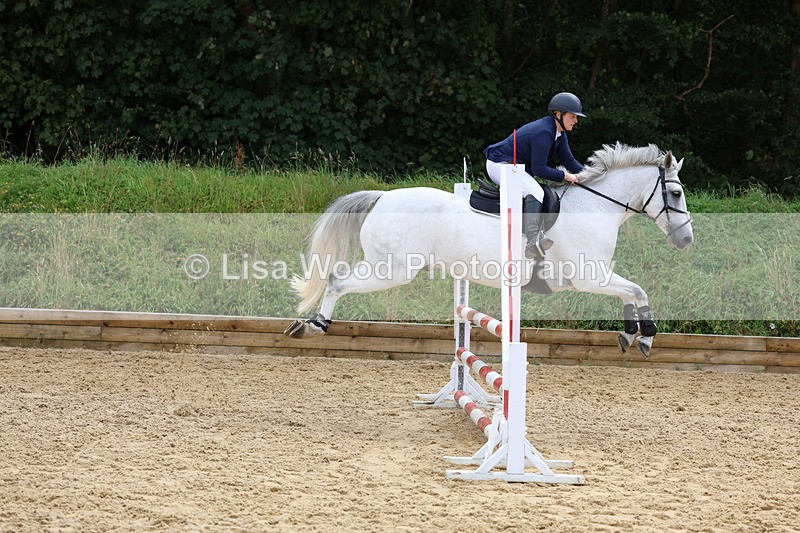 3E7A0115 - Class 9: Senior British Novice/90cm open