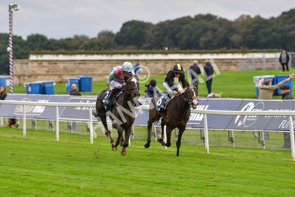 131023-Race 2-Lordship-9189 - Race 2 2.40pm William Hill Finale Handicap