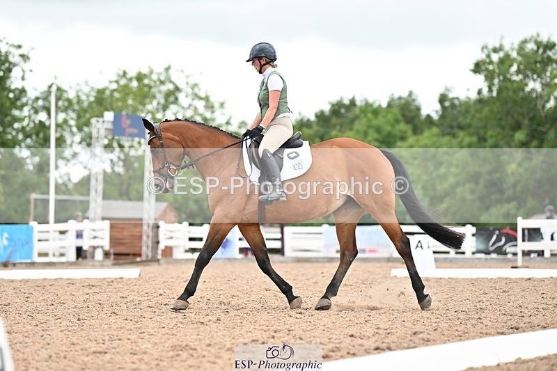 250705-175536-04325 - N2 Section BDNOV2 16.29 to 17.46