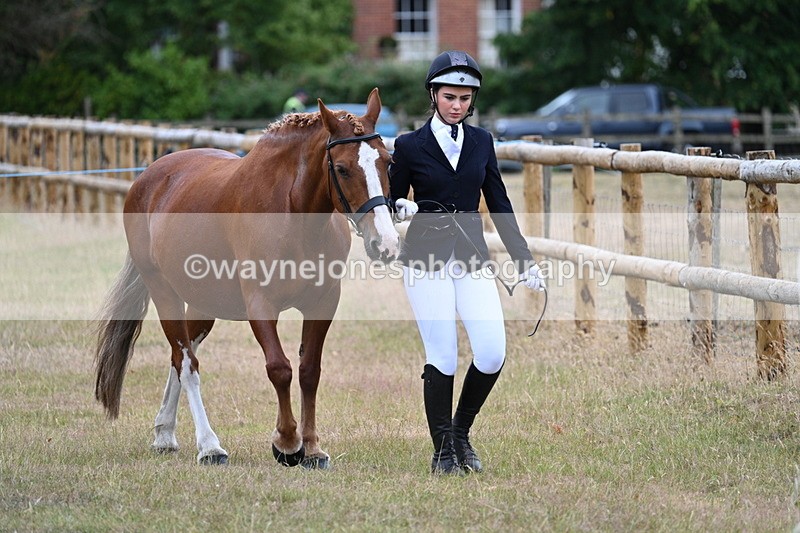 WJ7_9039 - Class 4a Prettiest Mare 14.2hh and over