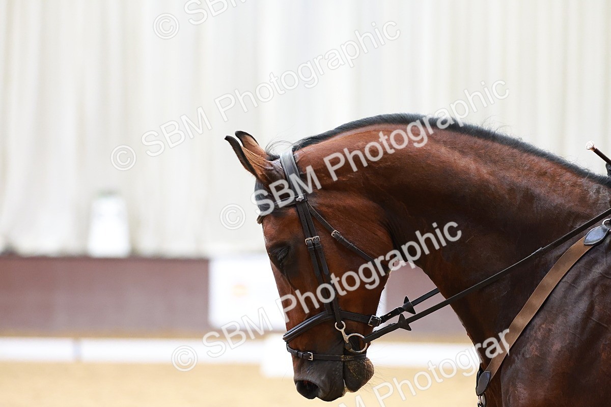 SBM_000381 - Intro Test 2