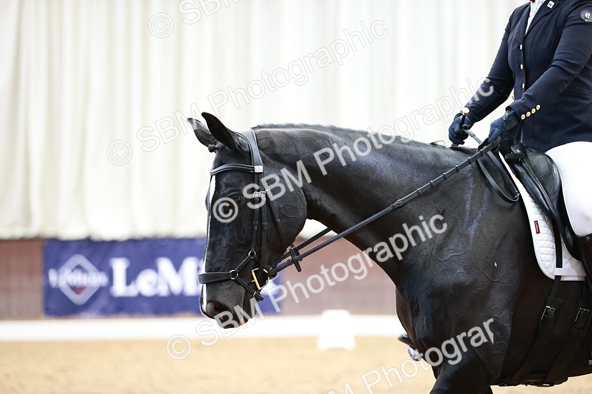 SBM_000485 - Ele 4