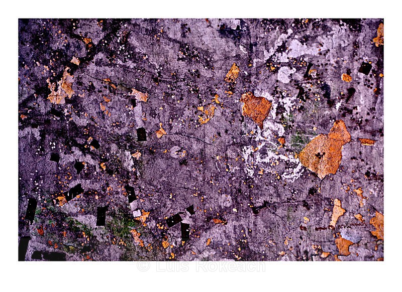 Fleurs Orange - Abstractions at Galerie Lozeau, Montreal