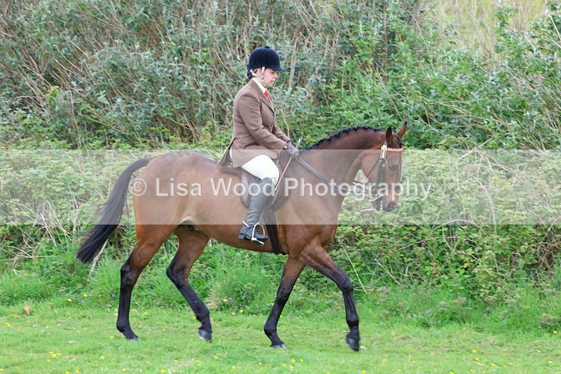 3E7A1937 - Class 10: Ridden Sports Horse