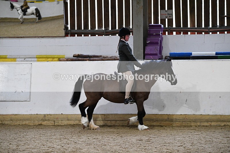 WJ5_7153 - Class 11 Ridden PC - RC Pony