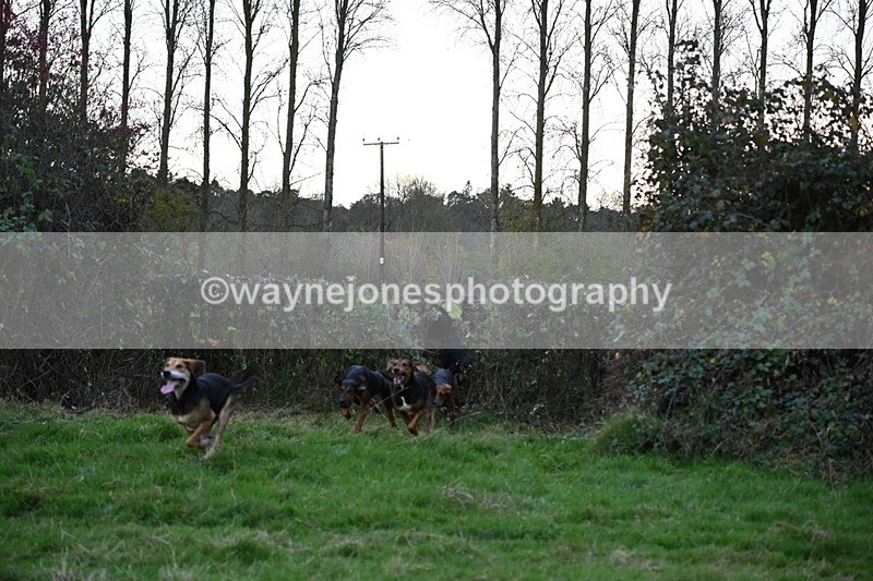 WJ6_0384 - Camera 1
