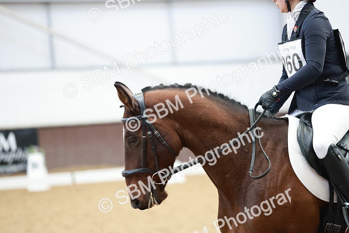 SBM_003985 - Class 2 - Novice 2020