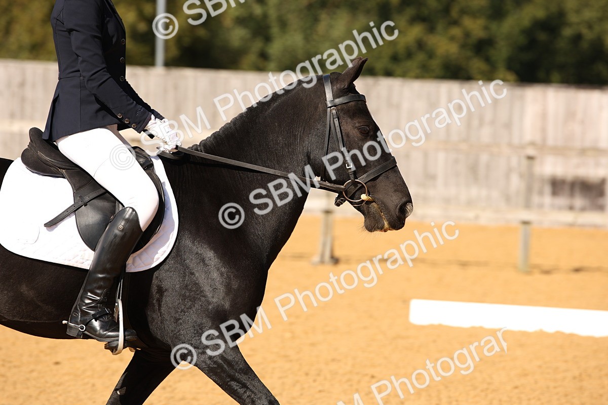 SBM_24295 - D5 - Small Tour Championship - Intro C