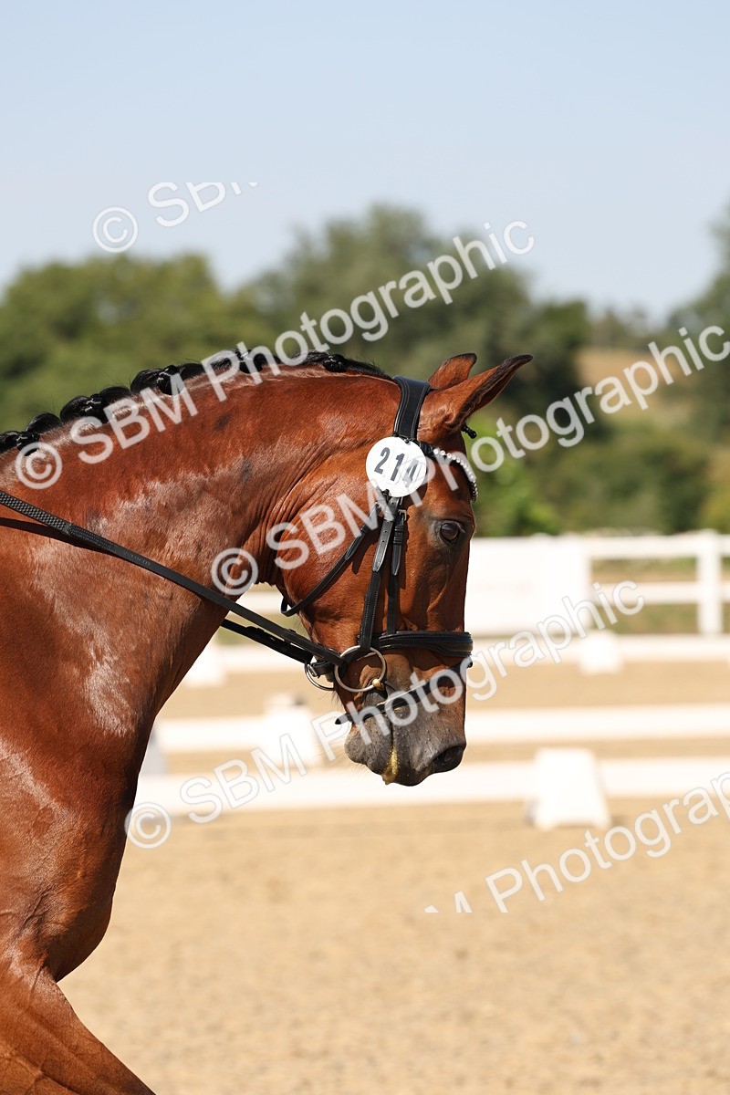 SBM_006435 - Prelim 4 - 15.56-17.51