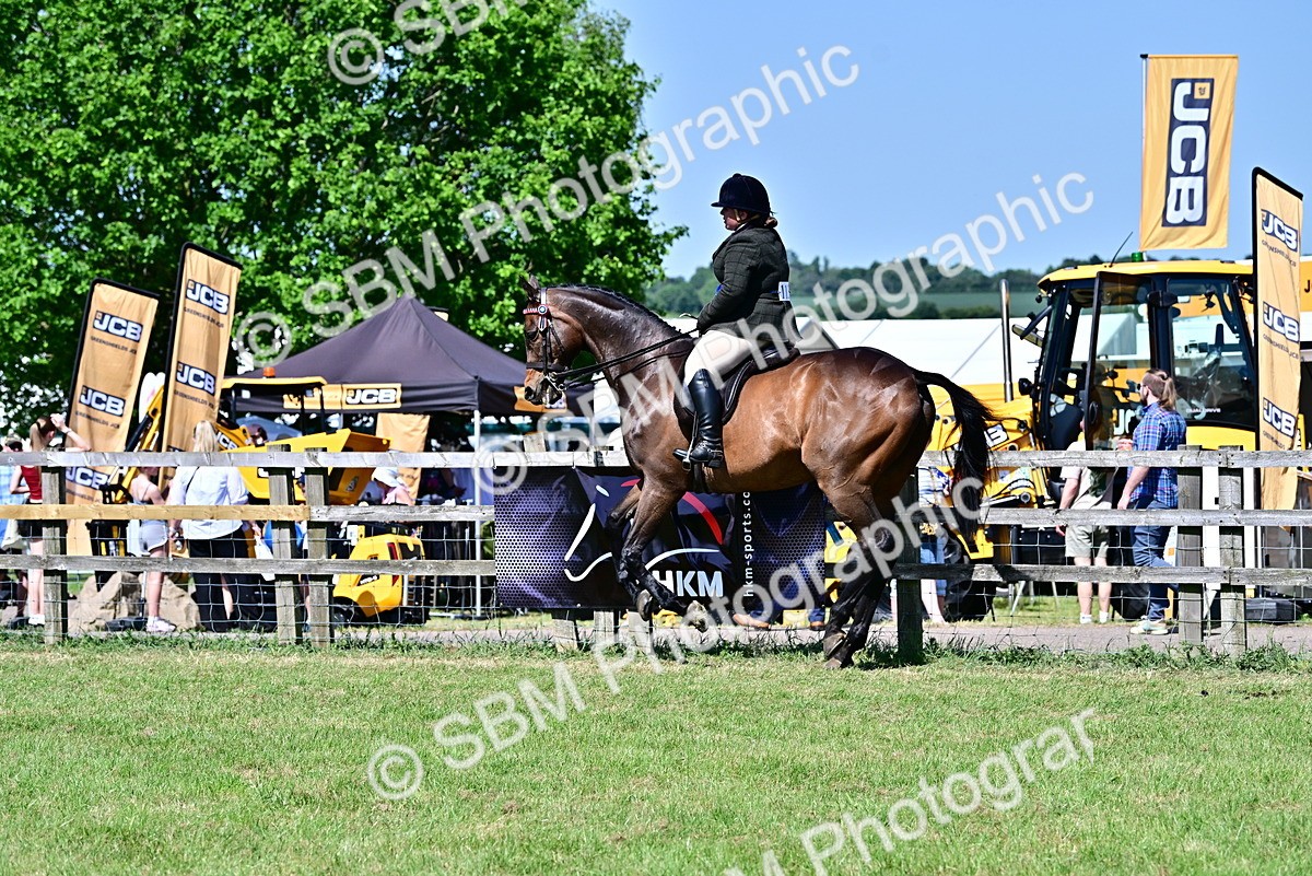 SBM_18269 - Class 99-100 - Retraining of Racehorses Ridden