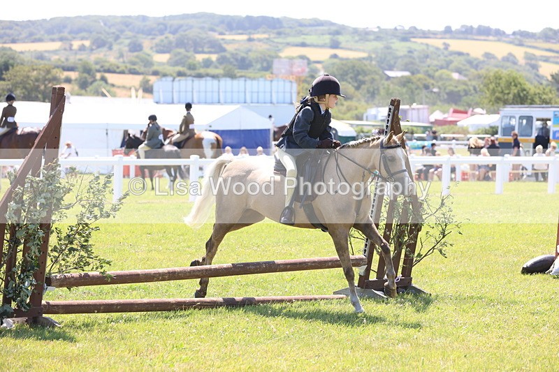 JPP_2203 - Class 20: Tiny Tots Working Hunter Pony