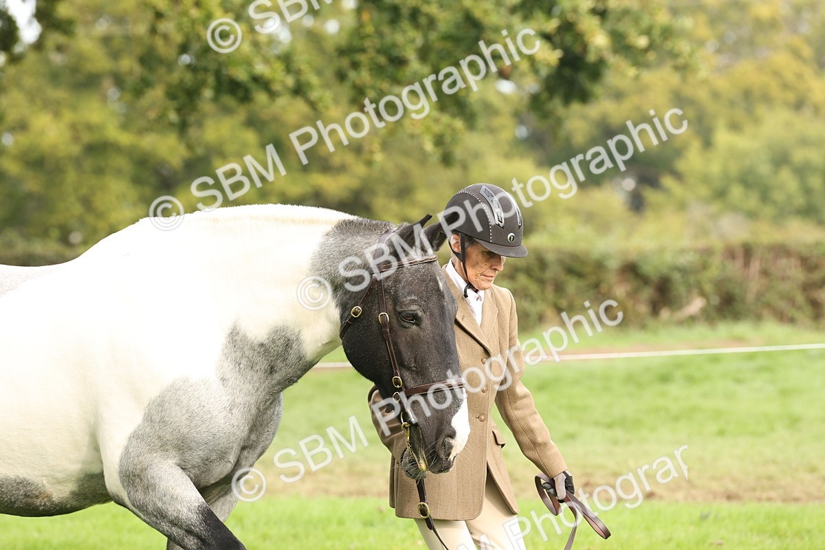 SBM_57483 - S56 - Show Cob in Hand
